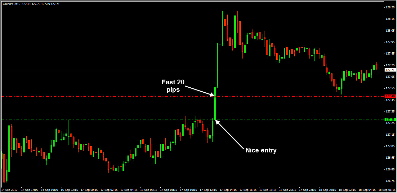 20 pips is how much money in forex trading